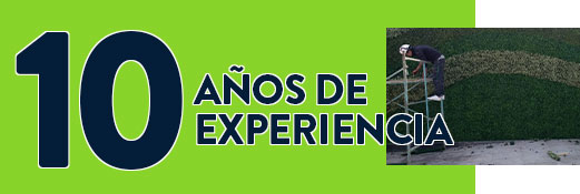 años de experiencia en el ramo