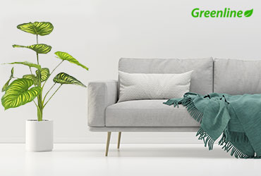 Plantas sintéticas decorativas con apariencia natural para interiores — Greenline