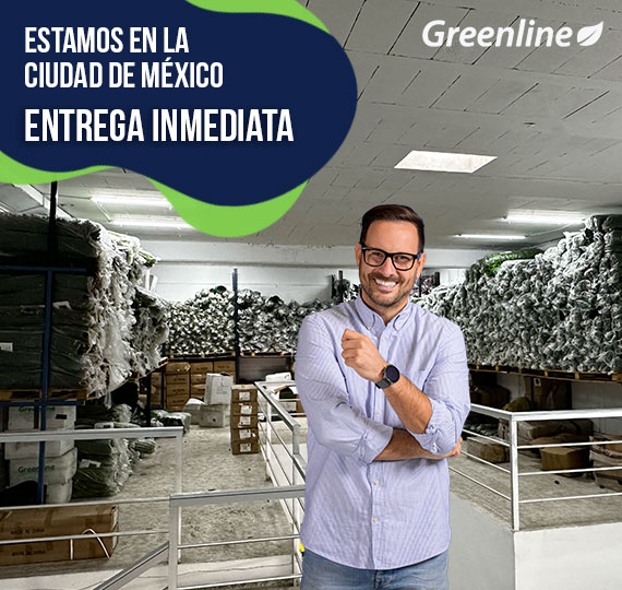 follaje muros verdes