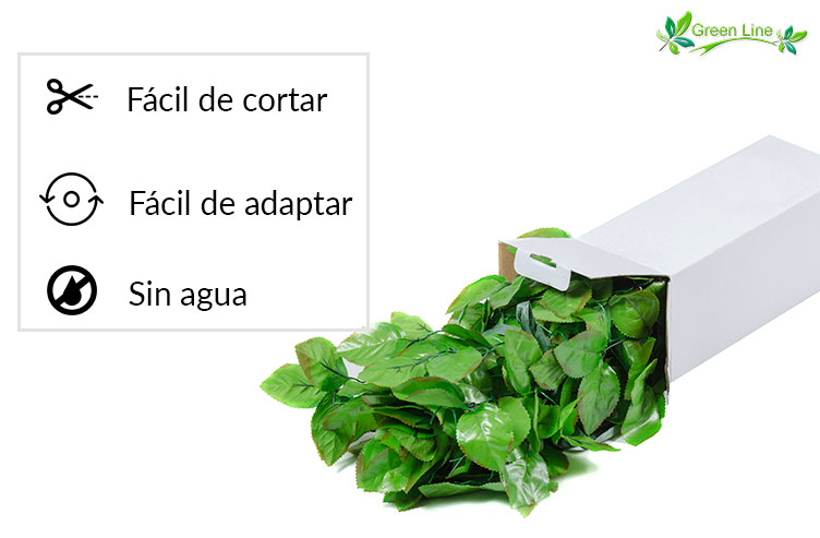 follaje premium
