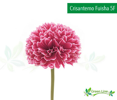 Crisantemo Artificial Fuisha 5F