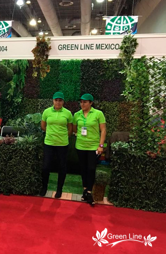 Green Line México líder en Mercado Libre
