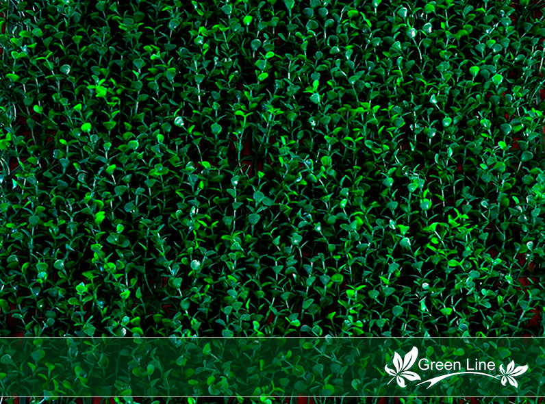 Follaje Green