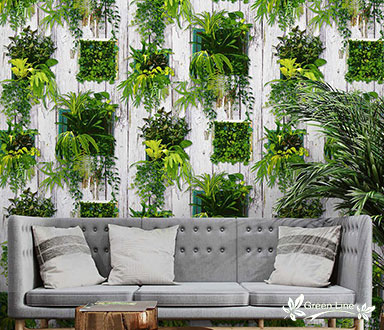 papel tapiz en rollo planta-decorativa